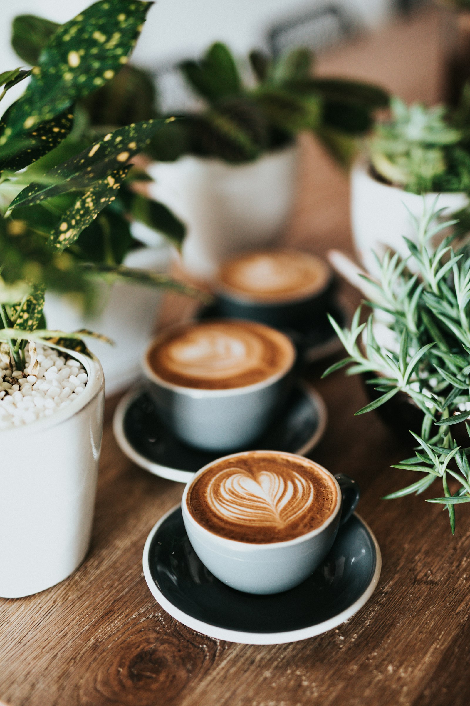 A barista handing a coffee to a customer